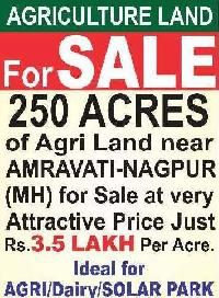  Agricultural Land for Sale in Morshi, Amravati