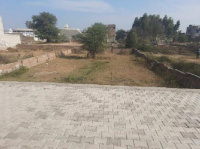  Residential Plot for Sale in Kotkapura, Faridkot