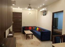 2 BHK Flat for Rent in Pholriwal, Jalandhar