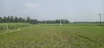  Agricultural Land for Sale in Laharpur, Sitapur