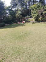  Residential Plot for Sale in Sector 23 Panchkula