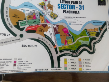  Residential Plot for Sale in Sector 31 Panchkula