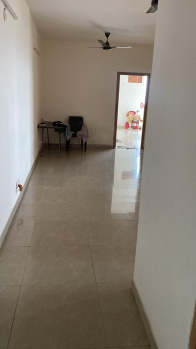 2 BHK Flats for Rent in Sector 5, Dharuhera