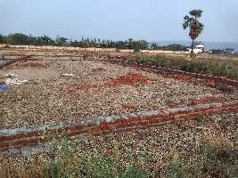  Commercial Land for Sale in Rajgir, Nalanda