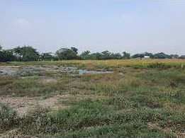  Residential Plot 23 Bigha for Sale in Khurja, Bulandshahr