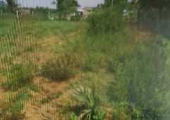Agricultural Land for Sale in Kattankolathur, Chennai