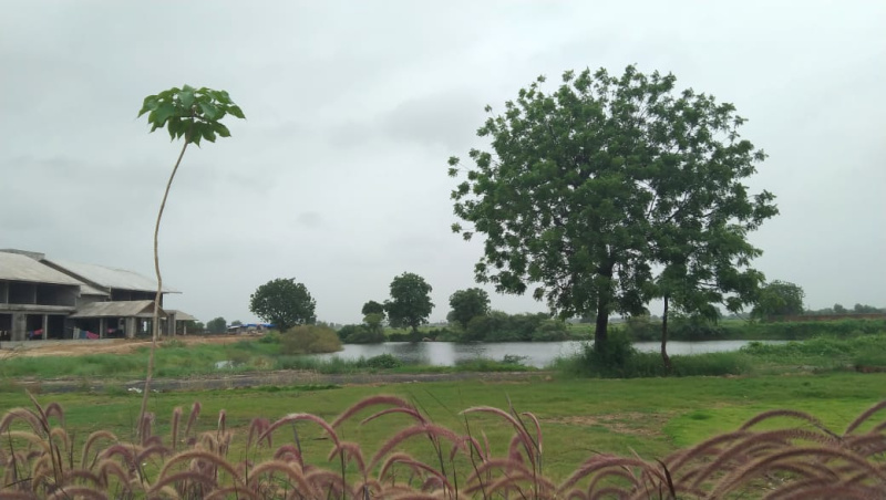 1 BHK 645 Sq. Yards Villa for Sale in Ahmedabad