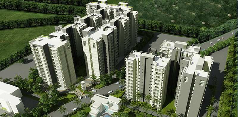 3 BHK Apartment 800 Sq.ft. for Sale in Sector 92 Gurgaon