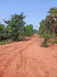  Agricultural Land for Sale in Chatrapur, Ganjam