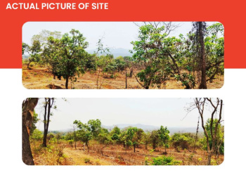  Agricultural Land for Sale in Mangaon, Raigad