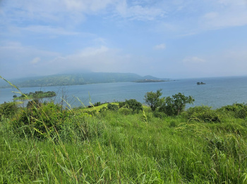  Agricultural Land for Sale in Pavana Lake, Pune