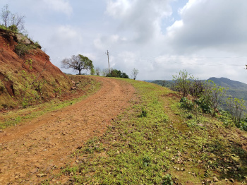  Agricultural Land for Sale in Bhor, Pune