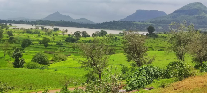  Agricultural Land 8 Acre for Sale in Igatpuri, Nashik