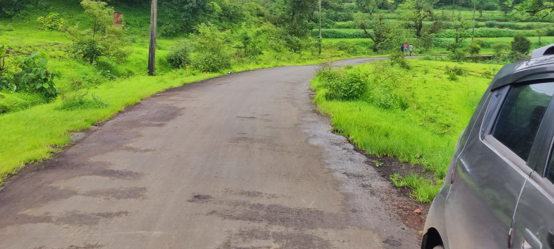  Agricultural Land 8 Acre for Sale in Igatpuri, Nashik