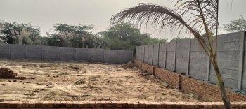  Residential Plot for Sale in Yamuna Expressway, Greater Noida