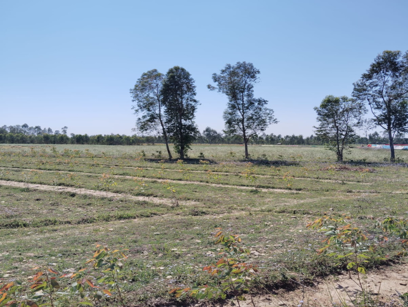  Agricultural Land 500 Sq. Yards for Sale in Saharanpur Road, Dehradun