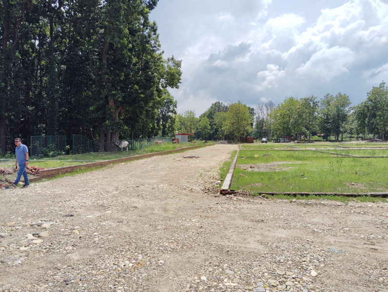  Residential Plot 184 Sq. Yards for Sale in Pondha, Dehradun