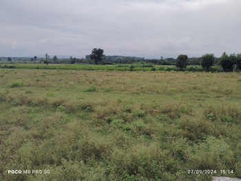  Residential Plot for Sale in Selaqui, Dehradun