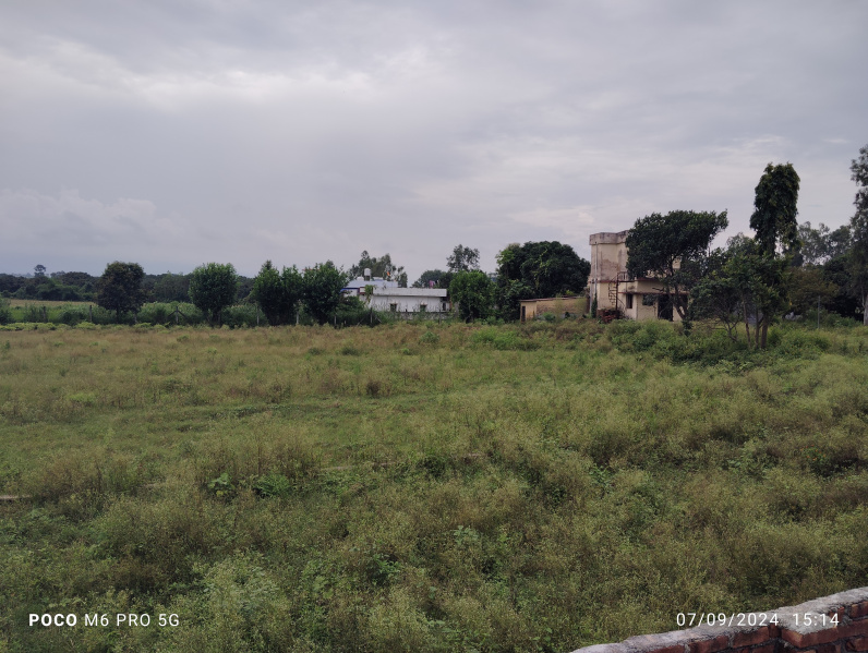  Residential Plot 100 Sq. Yards for Sale in Selaqui, Dehradun