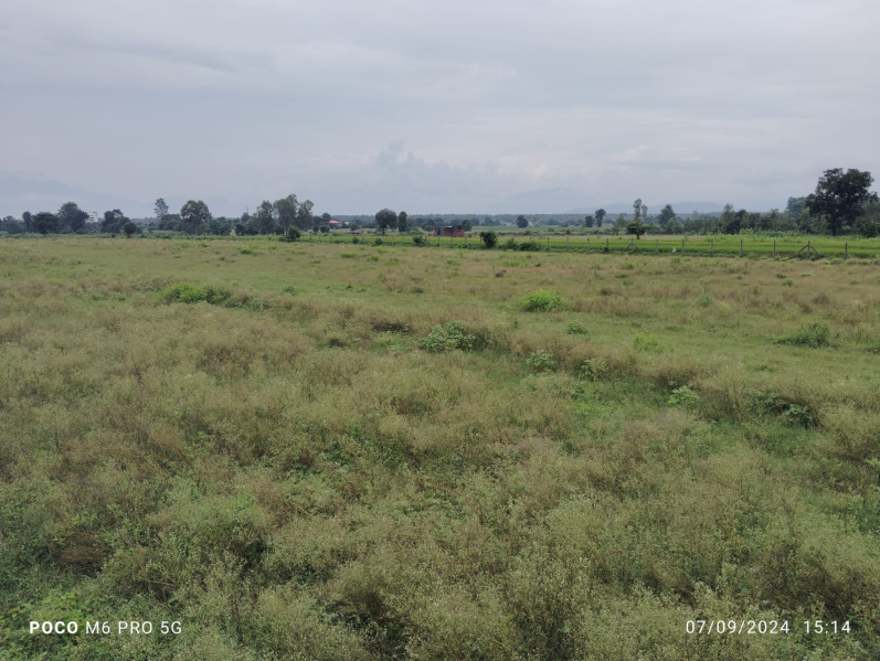  Residential Plot 102 Sq. Yards for Sale in Selakui, Dehradun