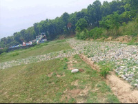  Residential Plot for Sale in Nanda Ki Chowki, Dehradun