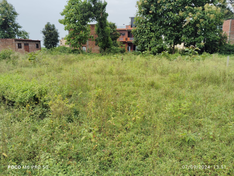  Residential Plot 125 Sq. Yards for Sale in Selakui, Dehradun