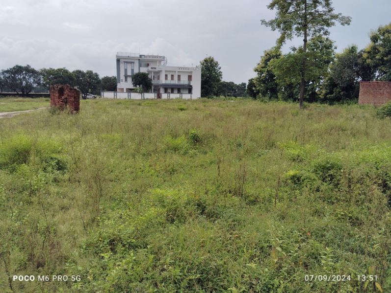  Residential Plot 125 Sq. Yards for Sale in Selakui, Dehradun