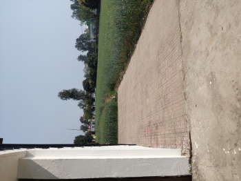  Residential Plot for Sale in Selakui, Dehradun