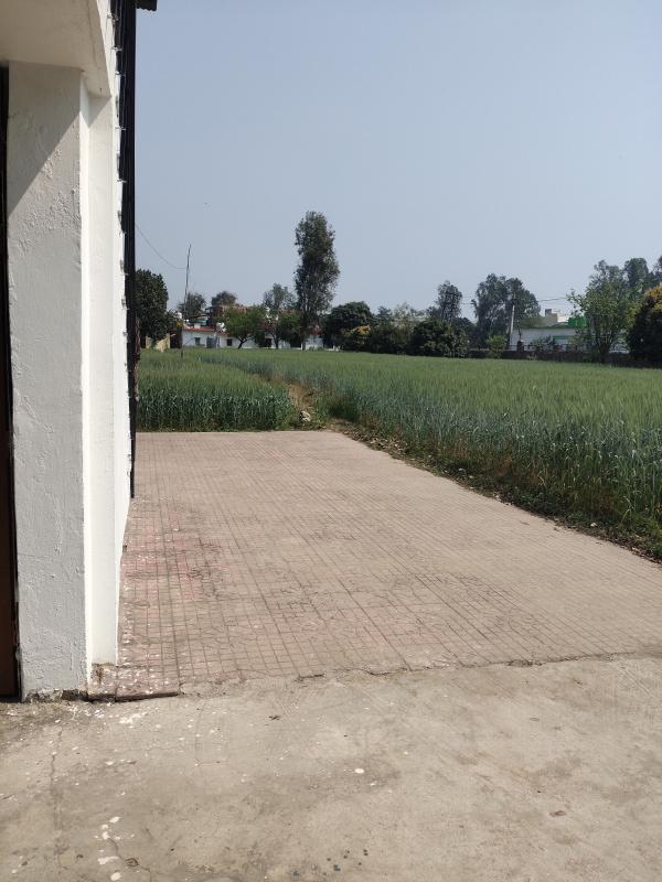  Residential Plot 100 Sq. Yards for Sale in Selakui, Dehradun