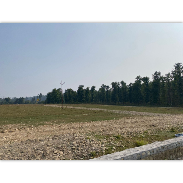  Residential Plot 900 Sq.ft. for Sale in Sherpur, Dehradun
