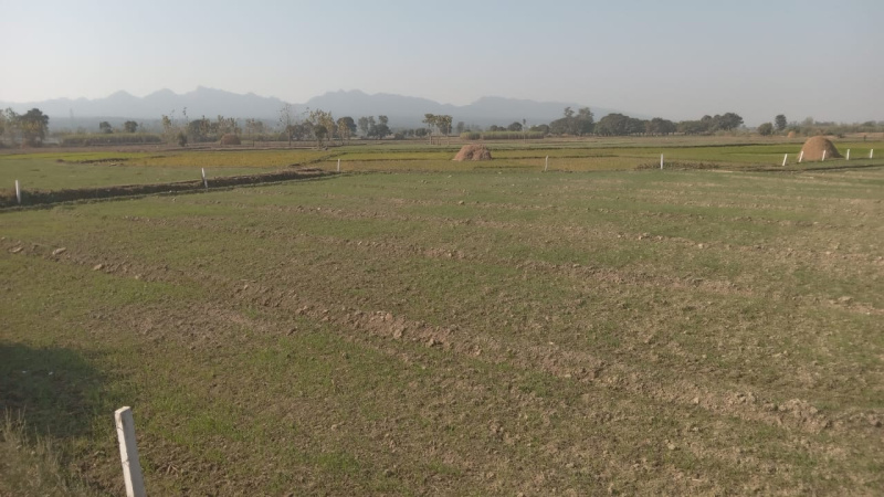  Residential Plot 900 Sq.ft. for Sale in Chharba, Dehradun