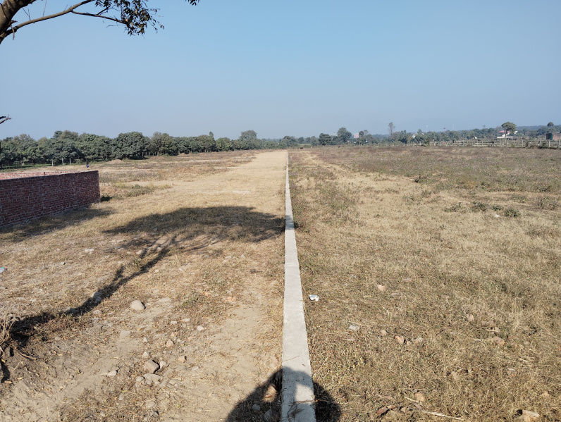  Residential Plot 100 Sq. Yards for Sale in Selaqui, Chakrata Road, Dehradun