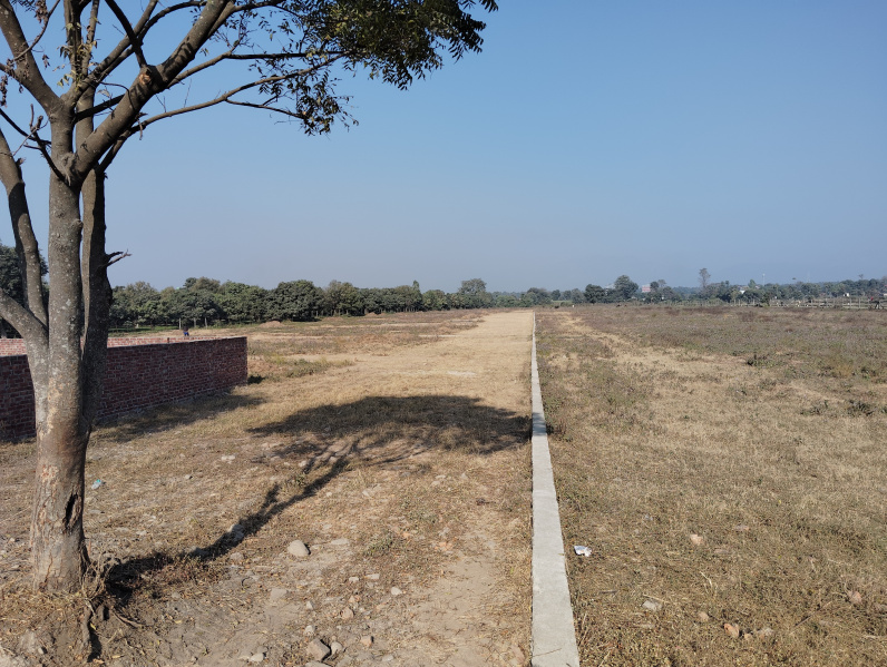  Residential Plot 100 Sq. Yards for Sale in Selaqui, Chakrata Road, Dehradun