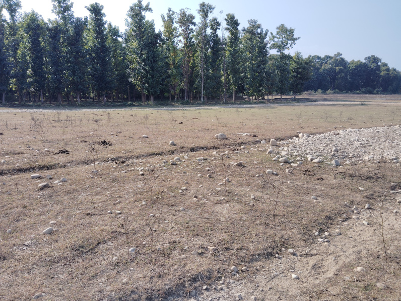  Residential Plot 133 Sq. Yards for Sale in Shimla Bypass, Dehradun