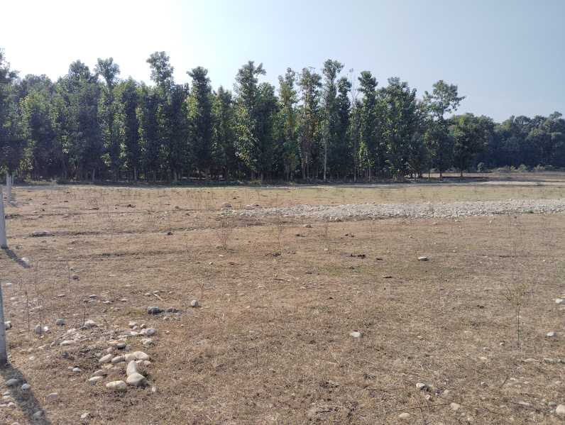  Residential Plot 133 Sq. Yards for Sale in Shimla Bypass, Dehradun