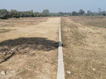  Residential Plot for Sale in Selaqui, Dehradun