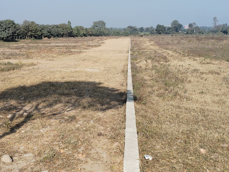  Residential Plot 110 Sq. Yards for Sale in Selaqui, Chakrata Road, Dehradun