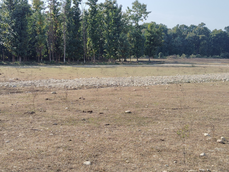  Residential Plot 227 Sq. Yards for Sale in Shimla Bypass, Dehradun