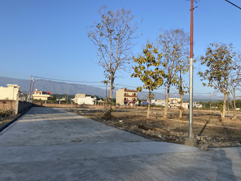  Residential Plot 1350 Sq.ft. for Sale in Pondha, Dehradun