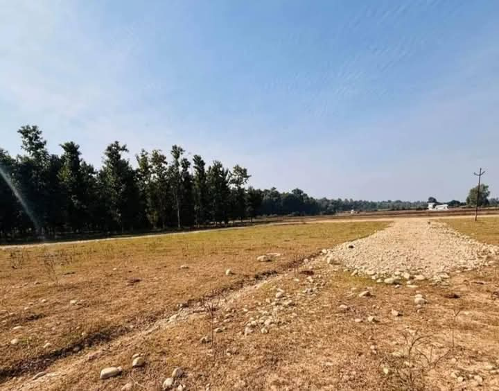  Residential Plot 329 Sq. Yards for Sale in Shimla Bypass Road, Dehradun