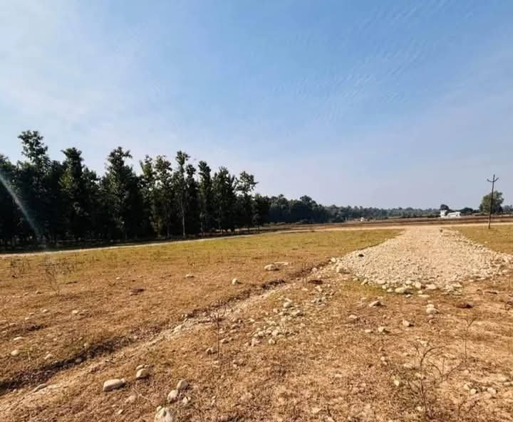  Residential Plot 329 Sq. Yards for Sale in Shimla Bypass Road, Dehradun