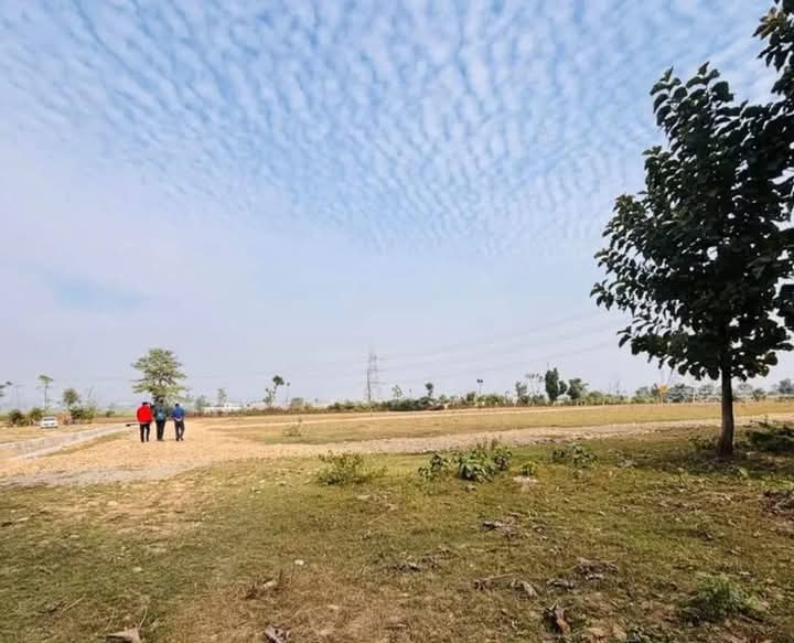  Residential Plot 249 Sq. Yards for Sale in Shimla Bypass Road, Dehradun