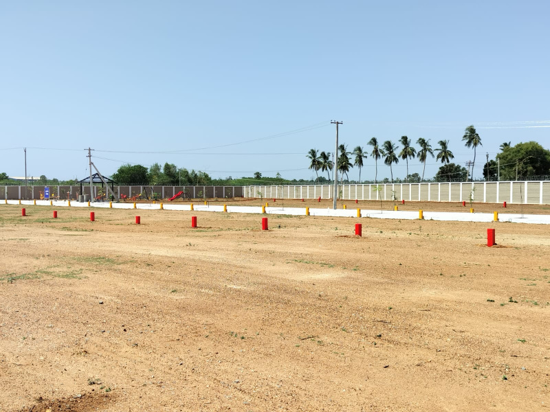 Panjapur, Tiruchirappalli photo 4