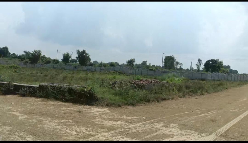  Residential Plot 1000 Sq.ft. for Sale in Gosainganj, Lucknow