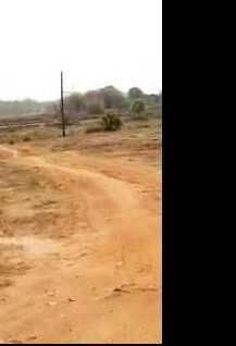  Commercial Land 2 Acre for Sale in Pachamba, Giridih