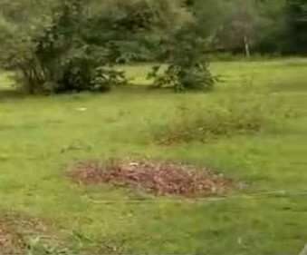 Agricultural Land 5 Bigha for Rent in Pariana, Giridih