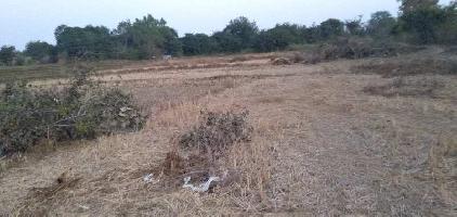  Agricultural Land for Sale in Yennepally, Vikarabad