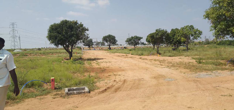  Residential Plot 200 Sq. Yards for Sale in Shadnagar, Hyderabad