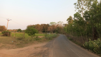  Agricultural Land for Sale in Acharapakkam, Kanchipuram