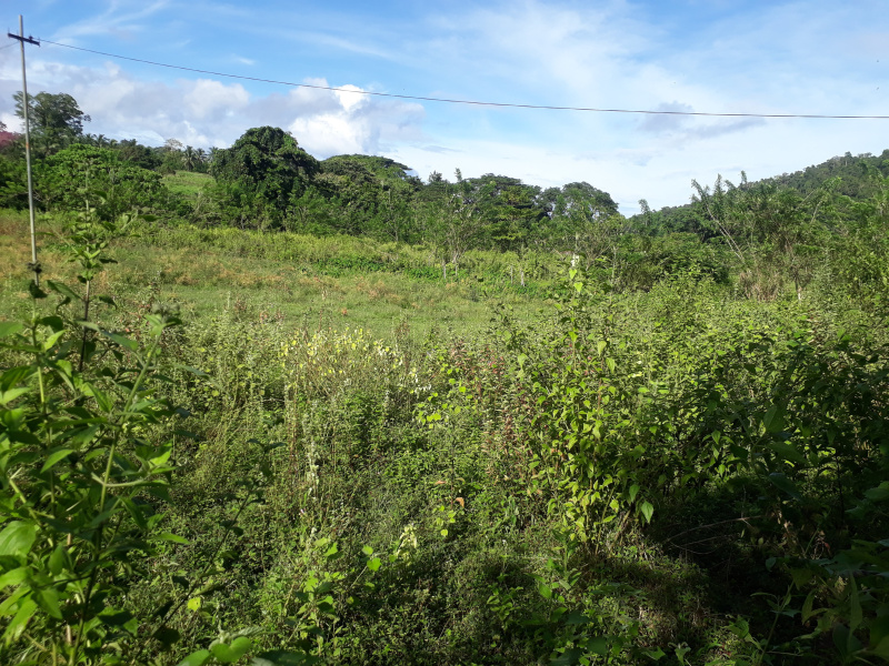  1150 Sq. Meter Agricultural/Farm Land for Sale in Ferrargunj, Andaman